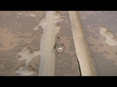 川口市　屋根　診断