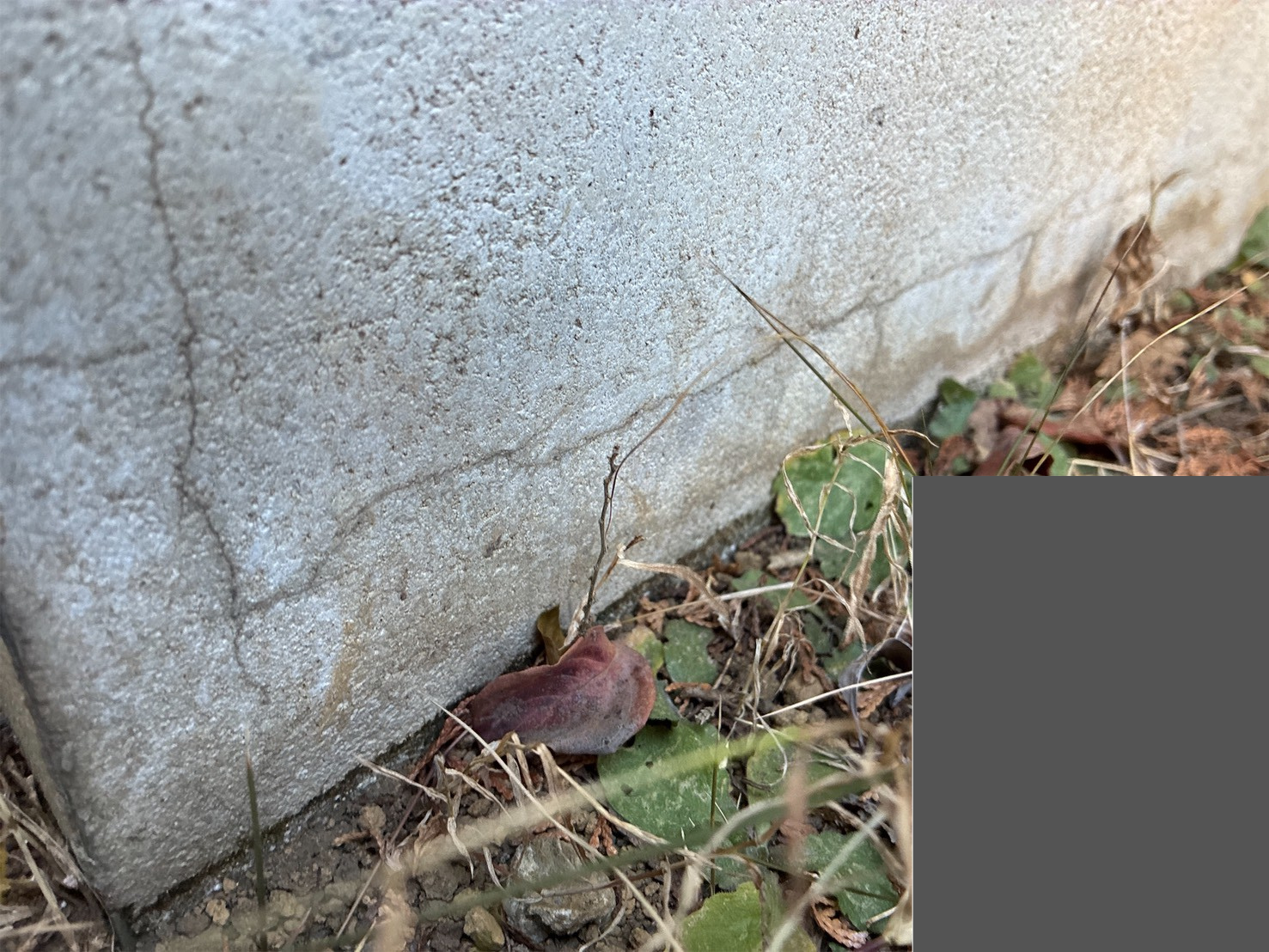 基礎に横方向へヘアークラックが発生