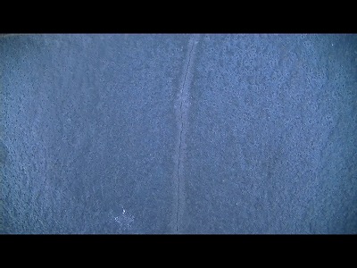 川口市　屋根　診断