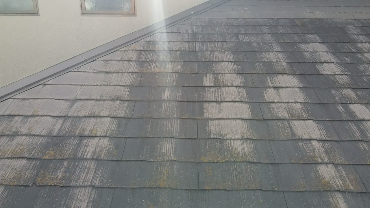 色褪せたカラーベストに苔が発生