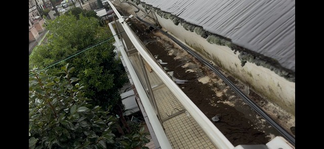 雨樋の中に溜まった汚れ