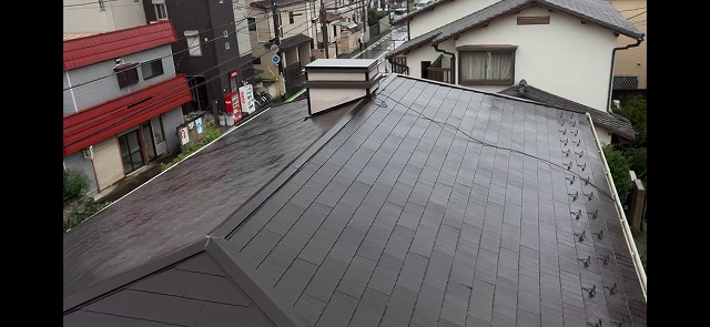 カラーベスト点検