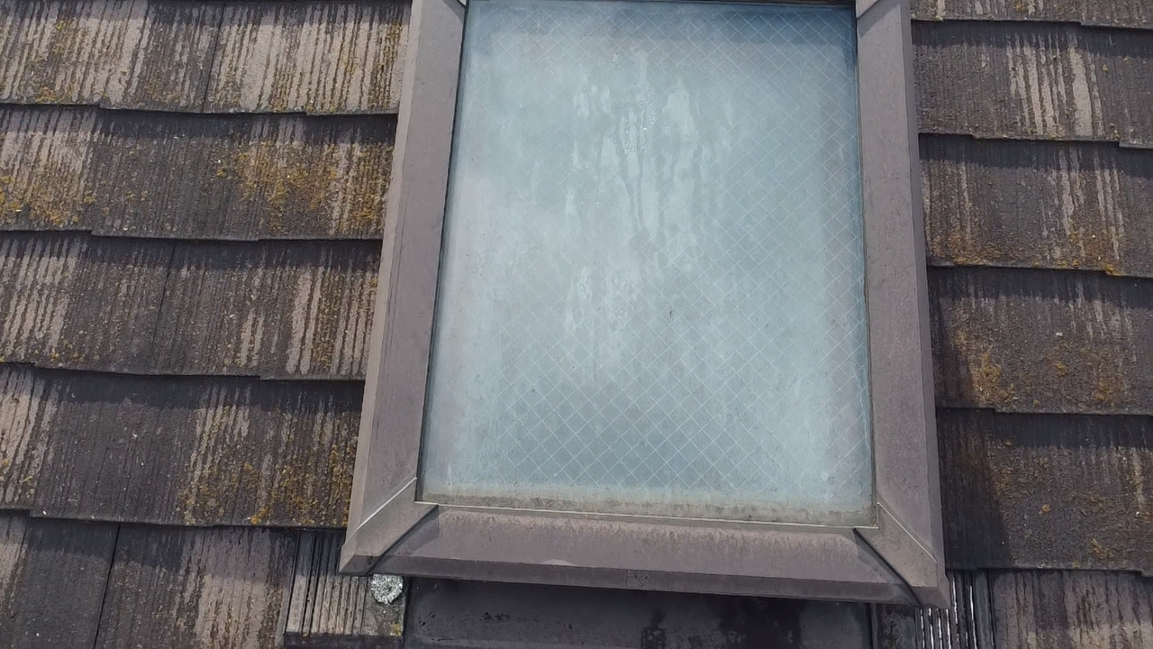 トップライト周りに苔がびっしり発生