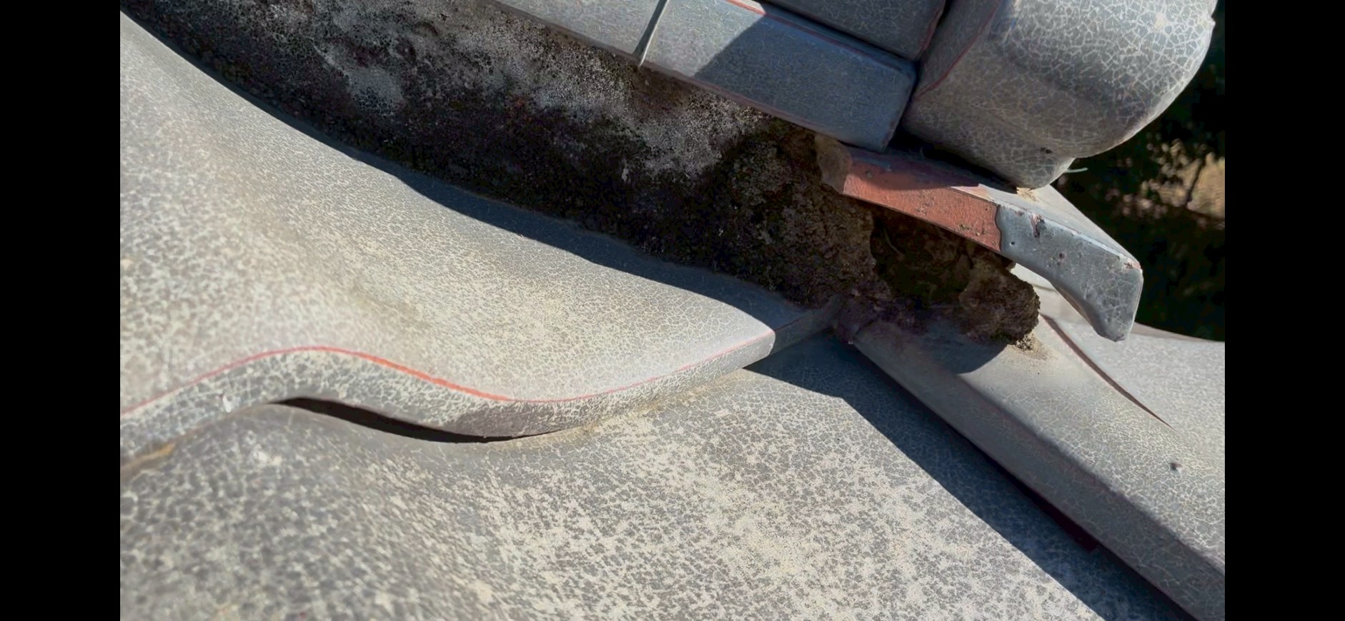 色褪せた瓦と苔が発生した漆喰