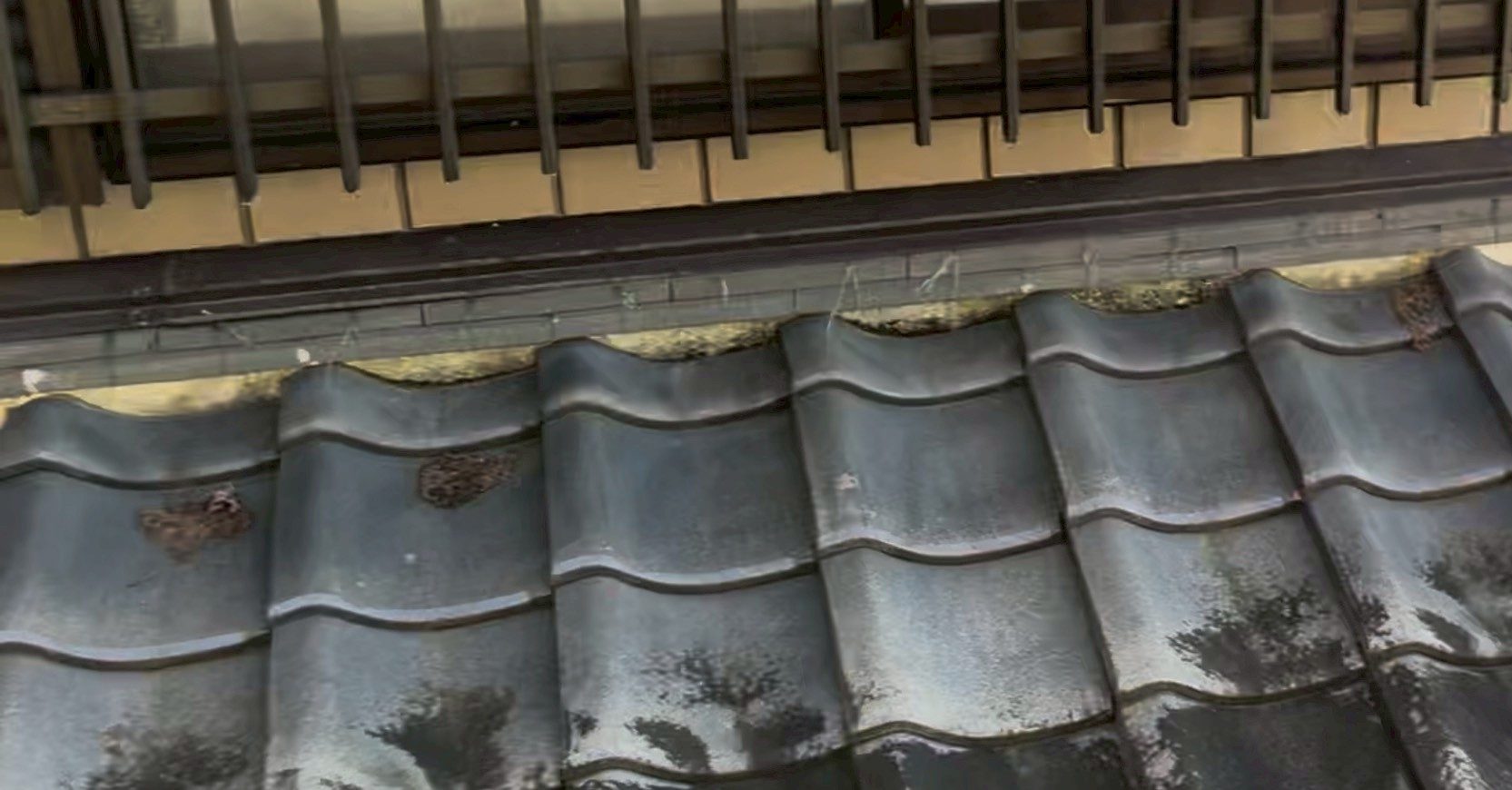 下屋の瓦の漆喰に苔が発生