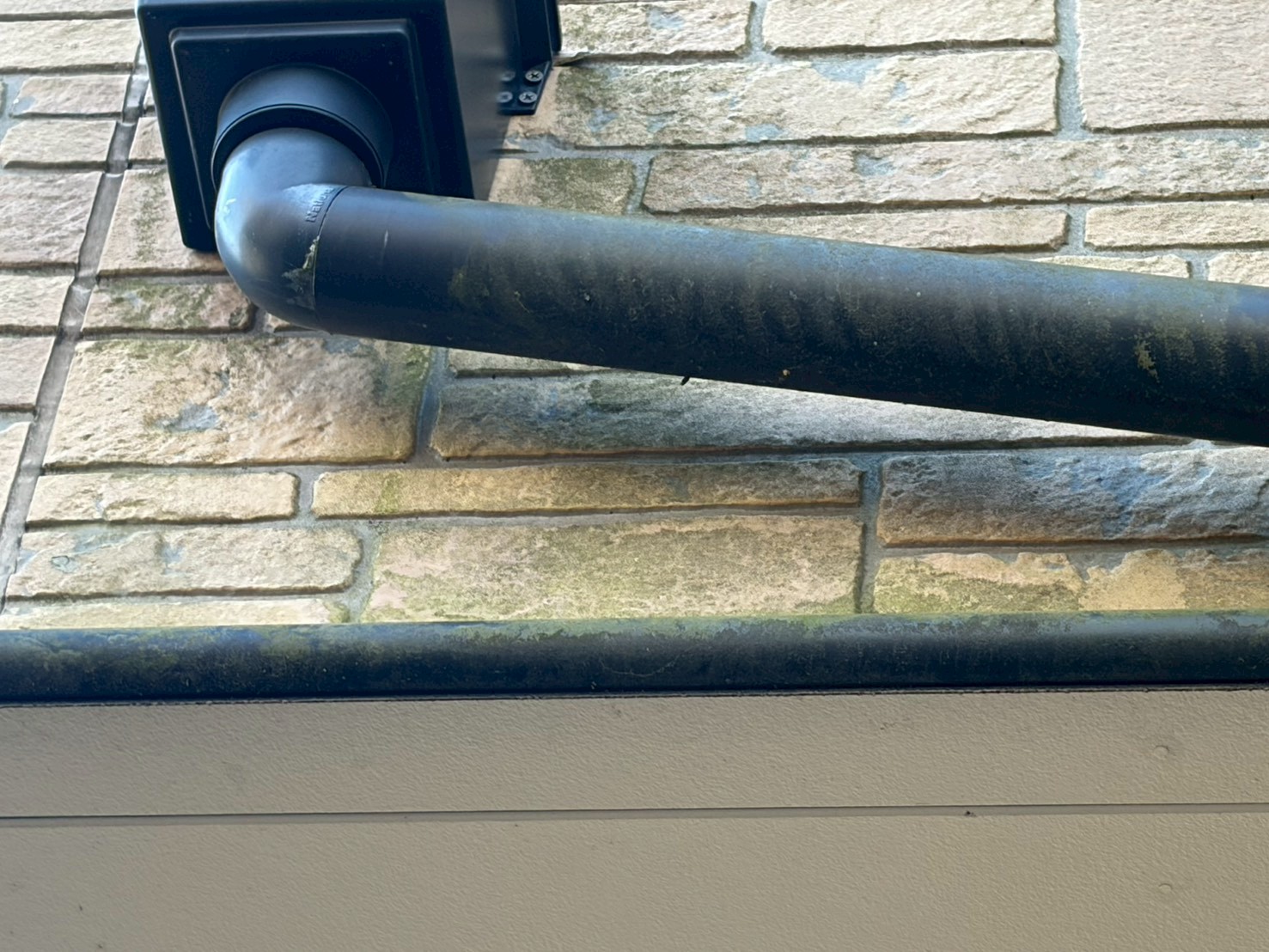 樋の裏にあるサイディングに苔が発生