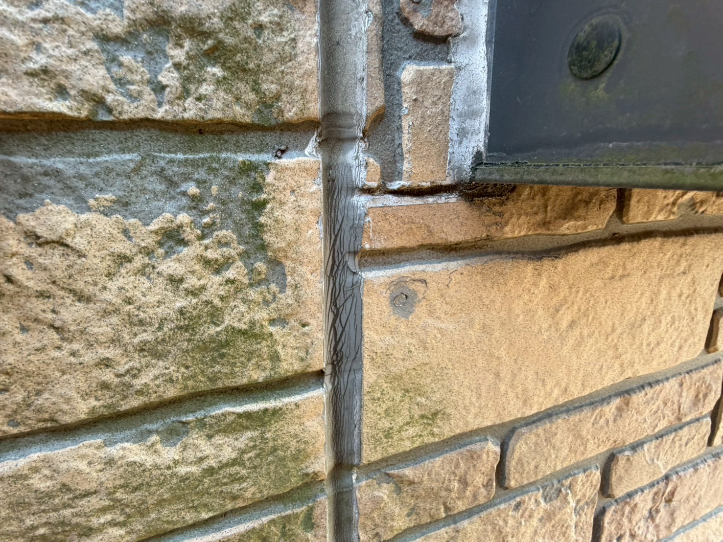 苔が生えた外壁のコーキングにひび割れが発生