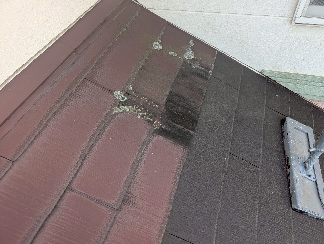 スレート表面の退色とコケの付着