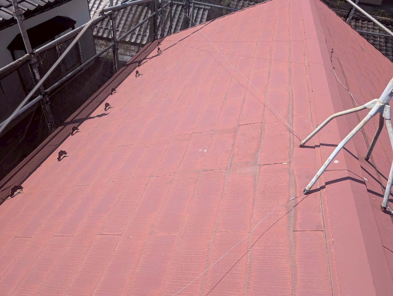 大屋根全体の退色