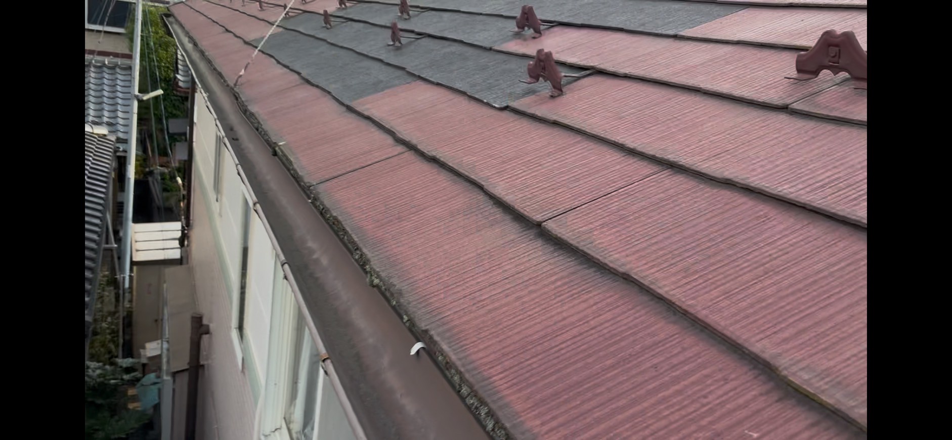 軒先の劣化と苔の付着