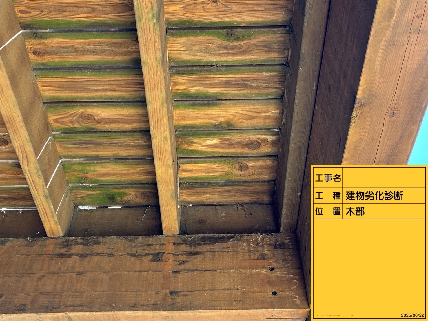 苔が発生した木製バルコニーの床板