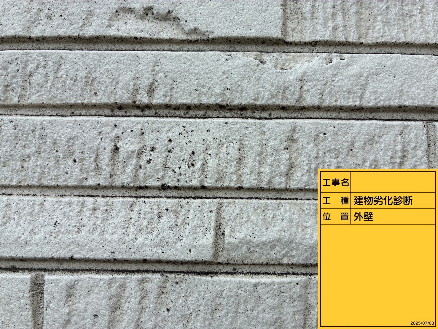 苔や藻が発生した白い外壁