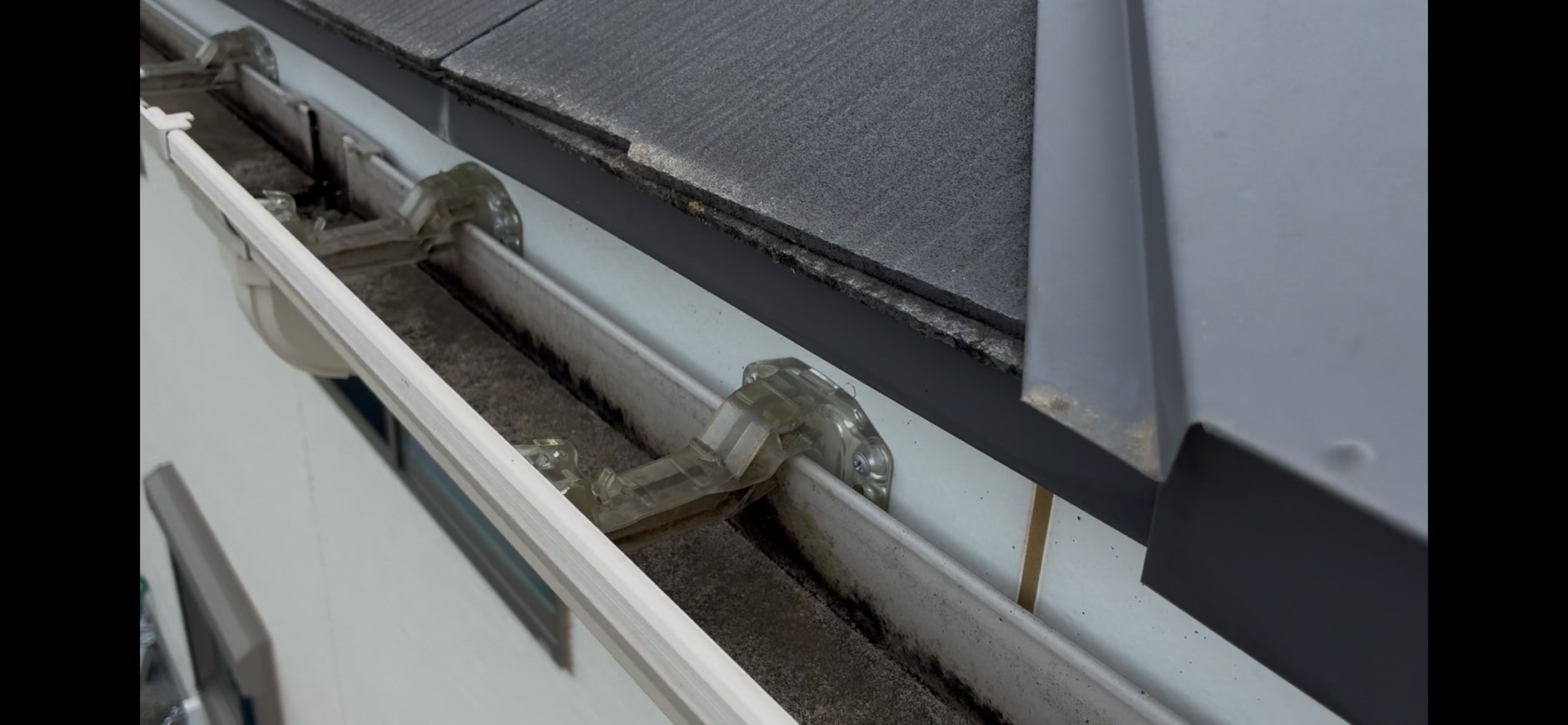 軒といに汚れ、屋根材の一部に苔が発生