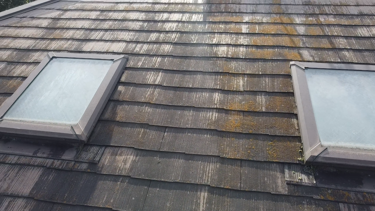 トップライトと苔が発生したカラーベスト屋根