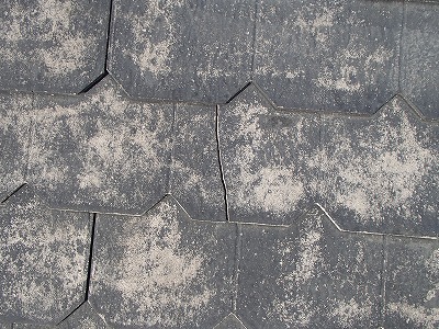 さいたま市桜区　瓦補修　