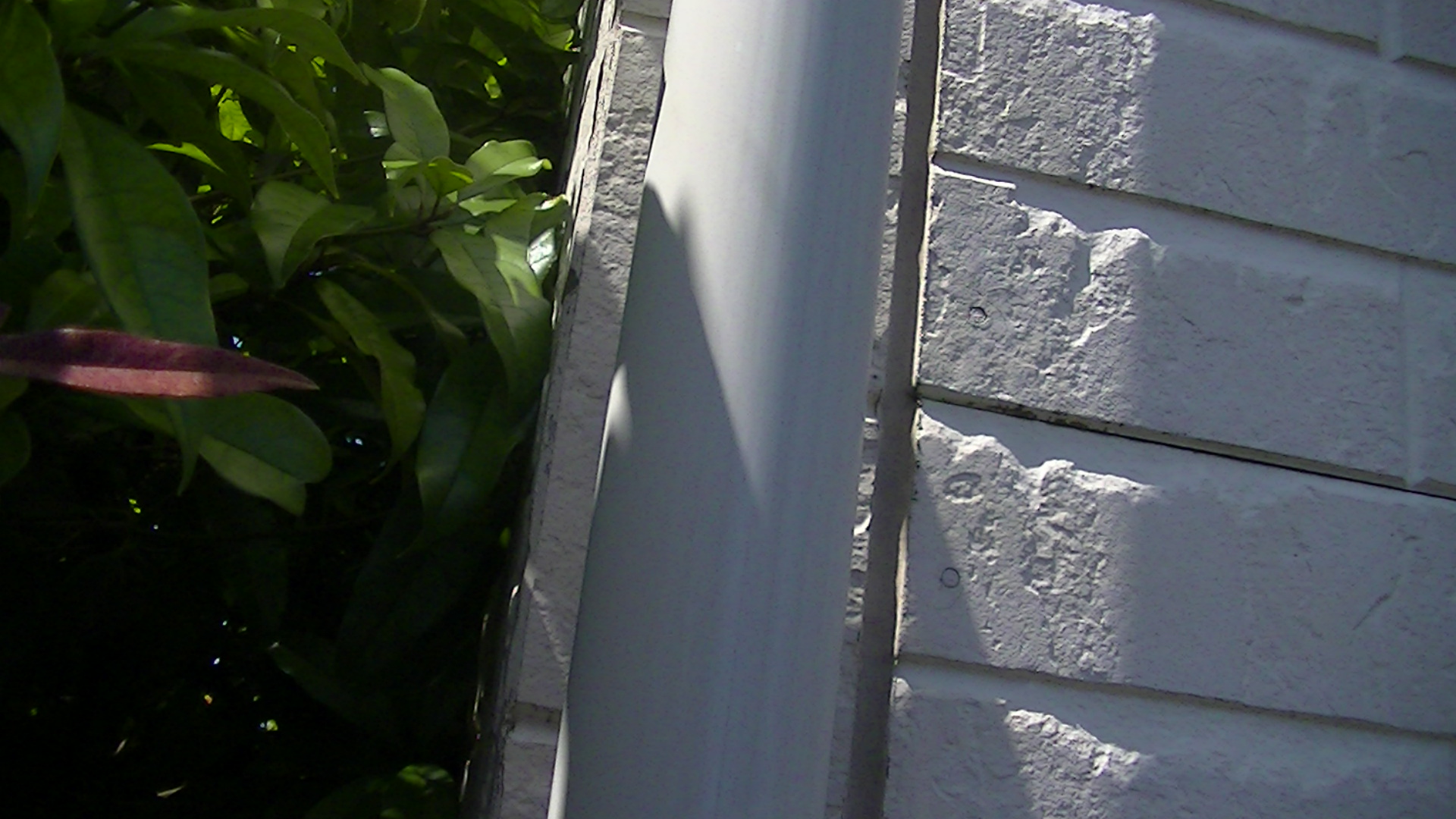 傷で塗装が剥がれた白い外壁