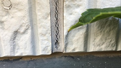 さいたま市中央区　シーリング　ひび割れ