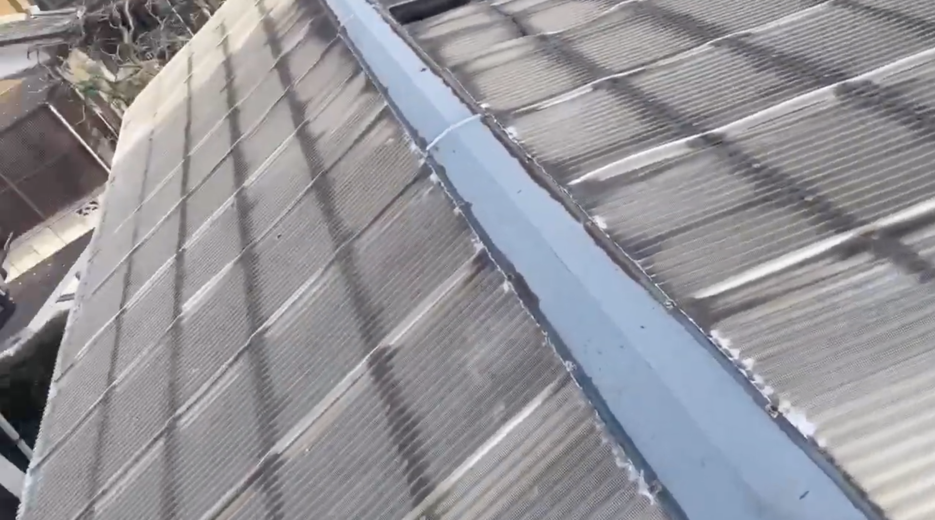 変色した塩ビ製の波板屋根