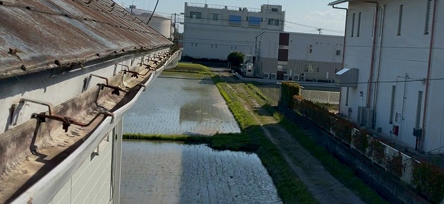雨樋歪み変形