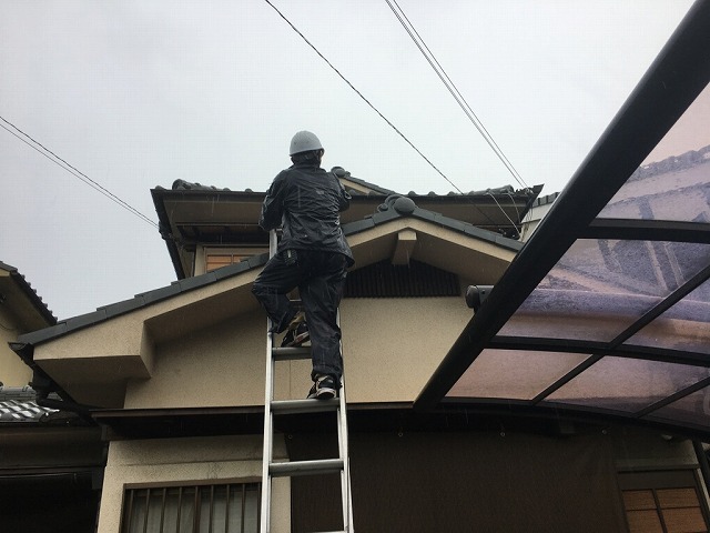 ハシゴを掛けて調査開始
