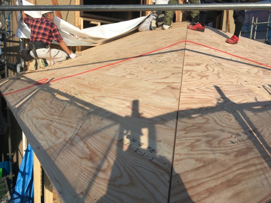 野地板張り完成