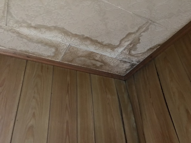 室内の雨漏り確認