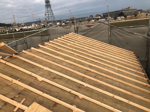 垂木の設置全面完了