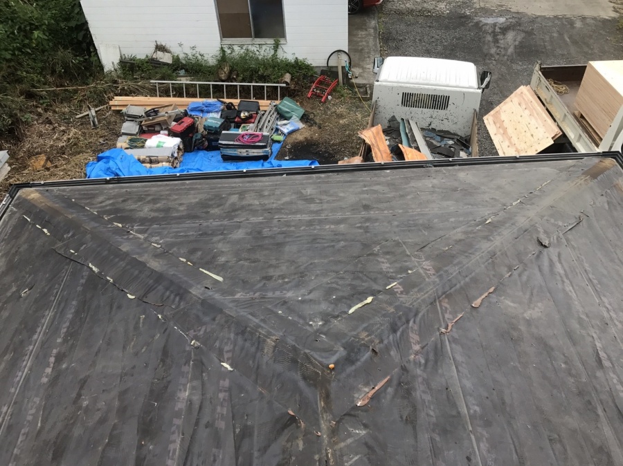 カラーベスト撤去