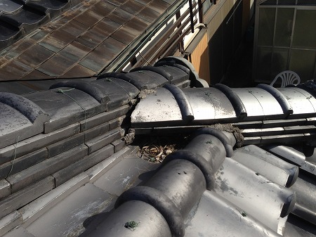 降り棟と隅棟取り合いトンネル詰まり