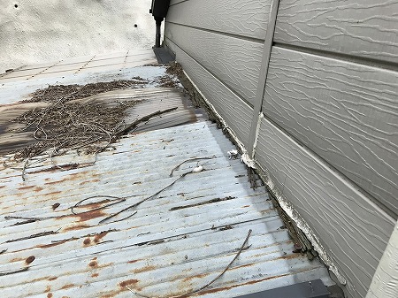 壁際コーキング劣化