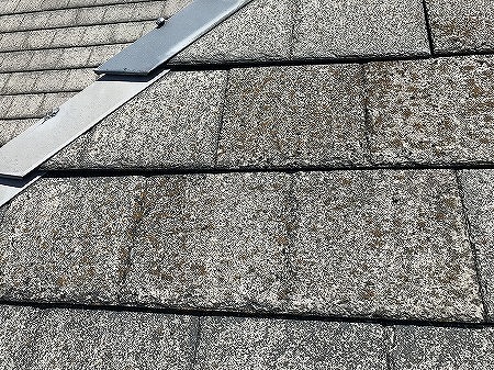 ワンダセラ塗膜褪せ