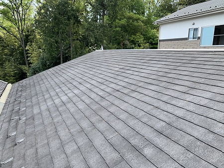 既存カラーベスト