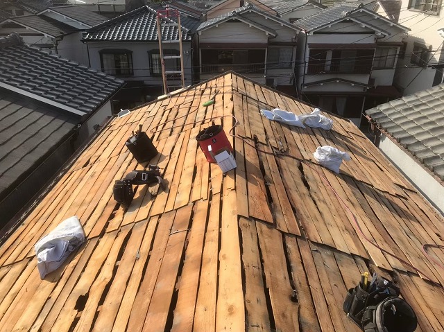 下から出てきた荒野地