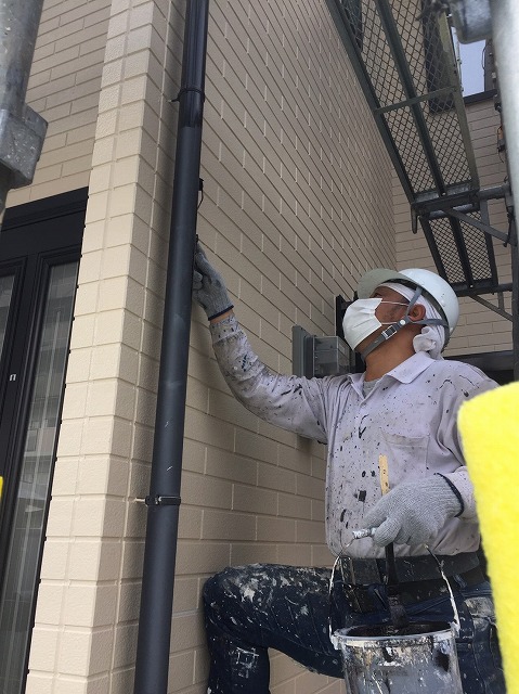 雨樋塗装作業