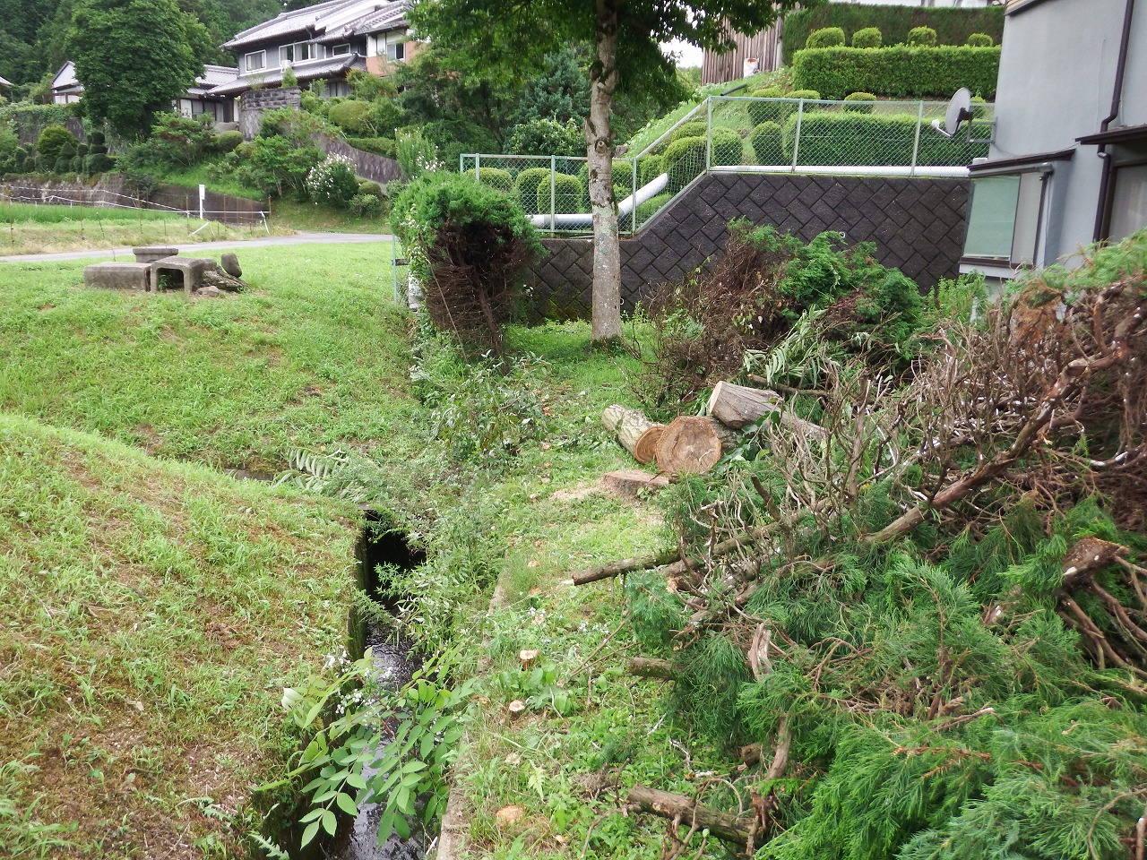 奈良市都祁の庭の立ち木伐採