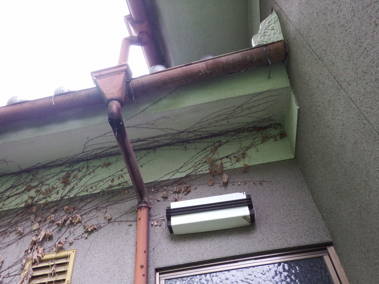 橿原市の２階建瓦屋根の住宅の雨樋