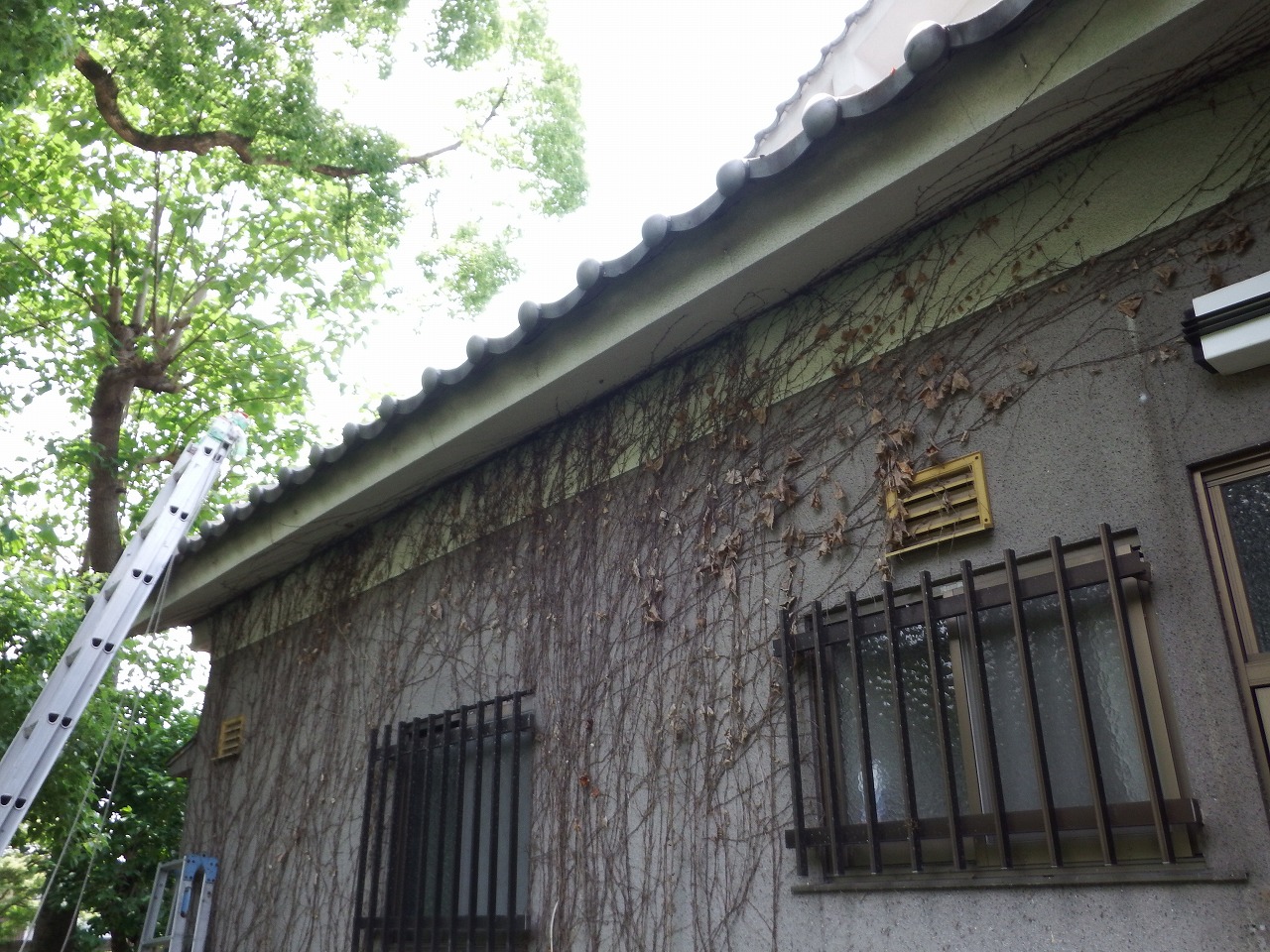 橿原市の雨樋工事開始