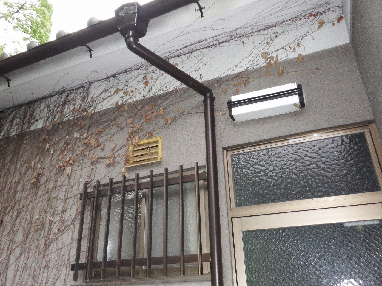 橿原市の雨樋設置