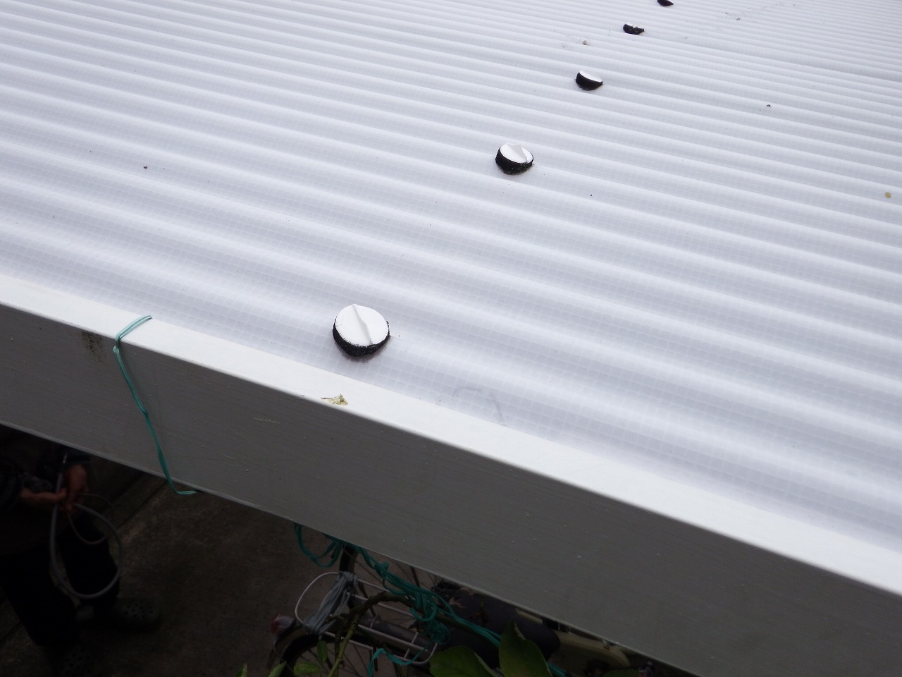 奈良市の波板屋根、はしごに上って上から確認