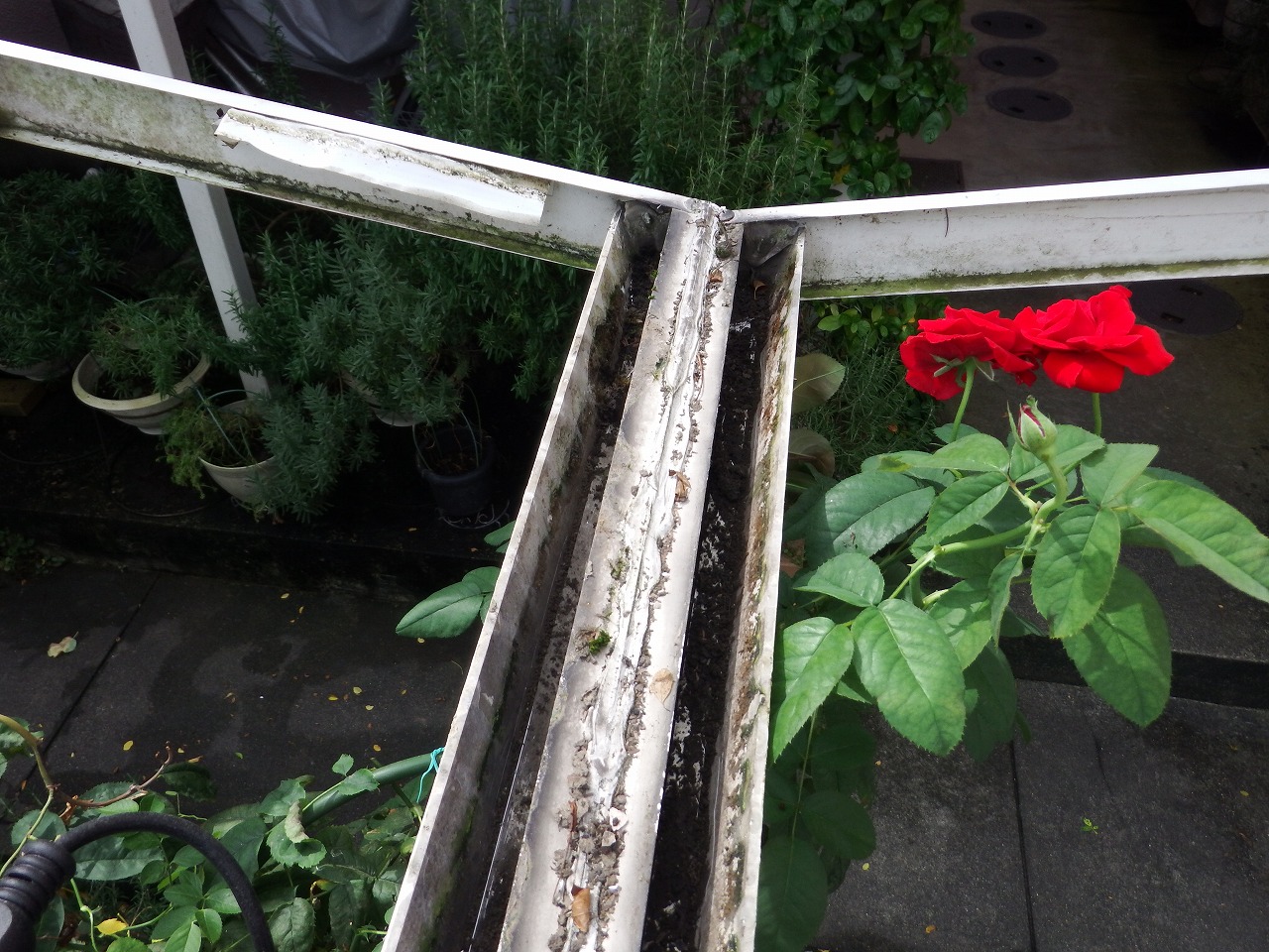 奈良市でカーポートの波板屋根撤去後