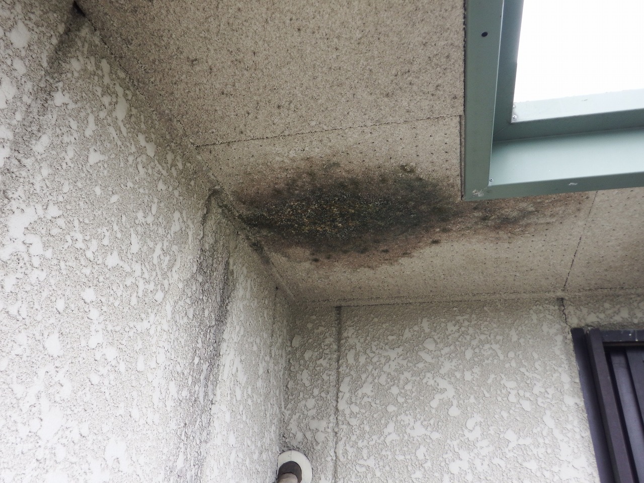 生駒市の陸屋根の雨漏り跡