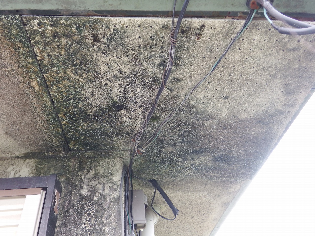 生駒市の陸屋根の雨漏り跡