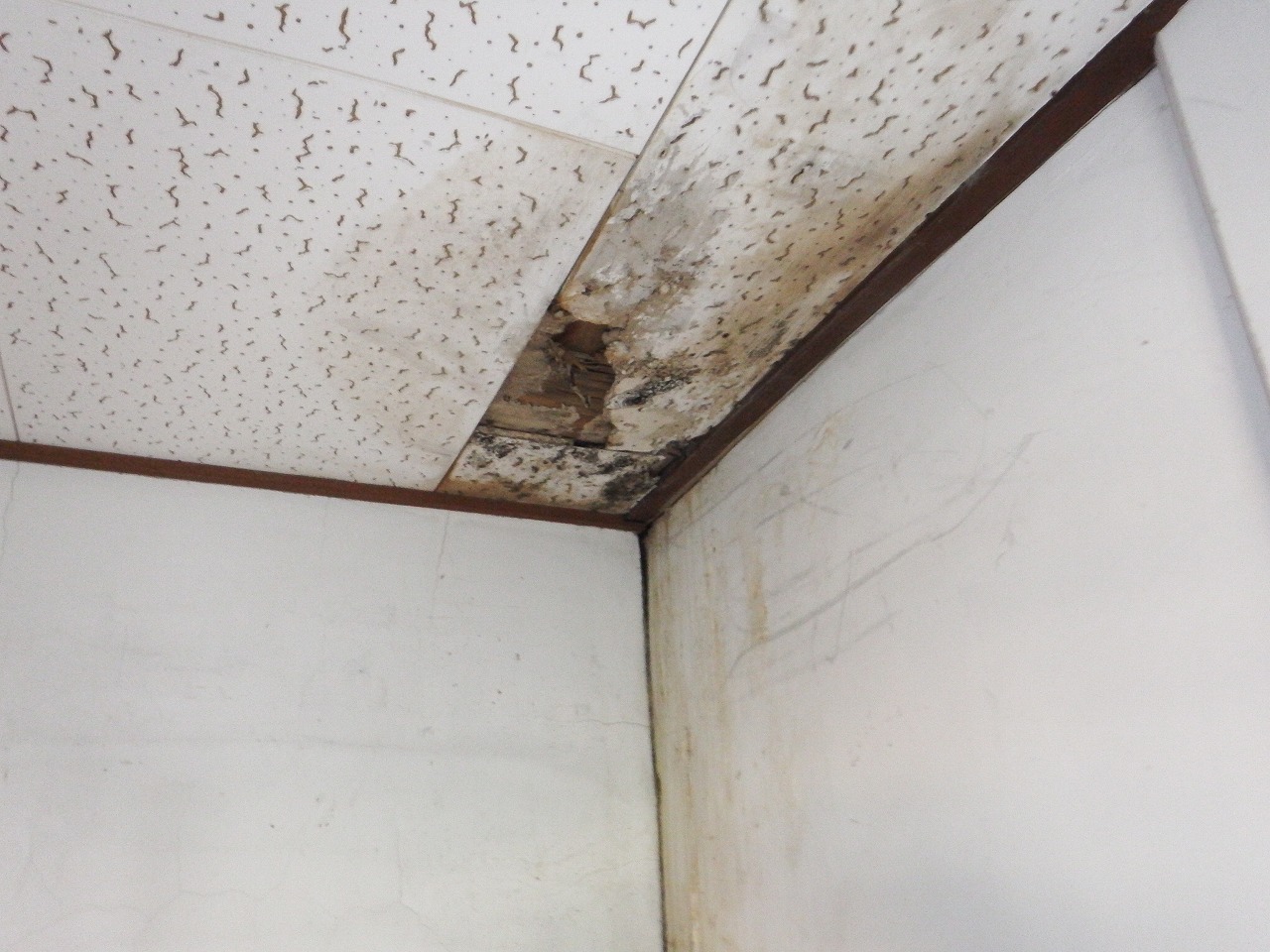 奈良市の雨漏りの天井