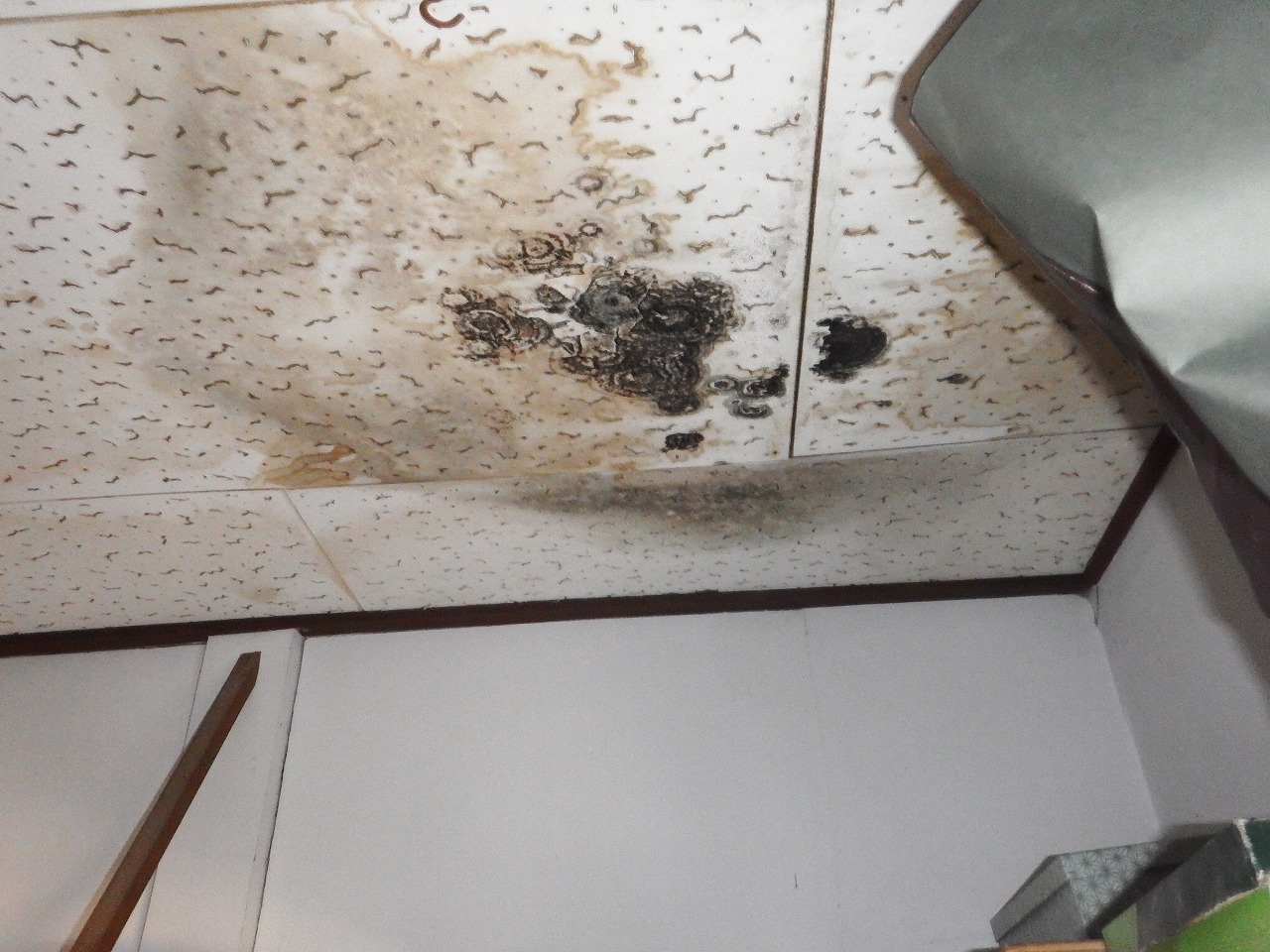 奈良市の雨漏りでお困りの納屋の無料点検