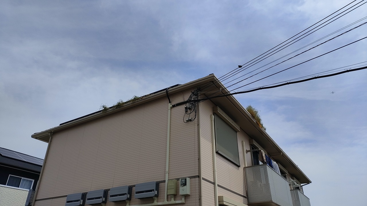 斑鳩町現地調査