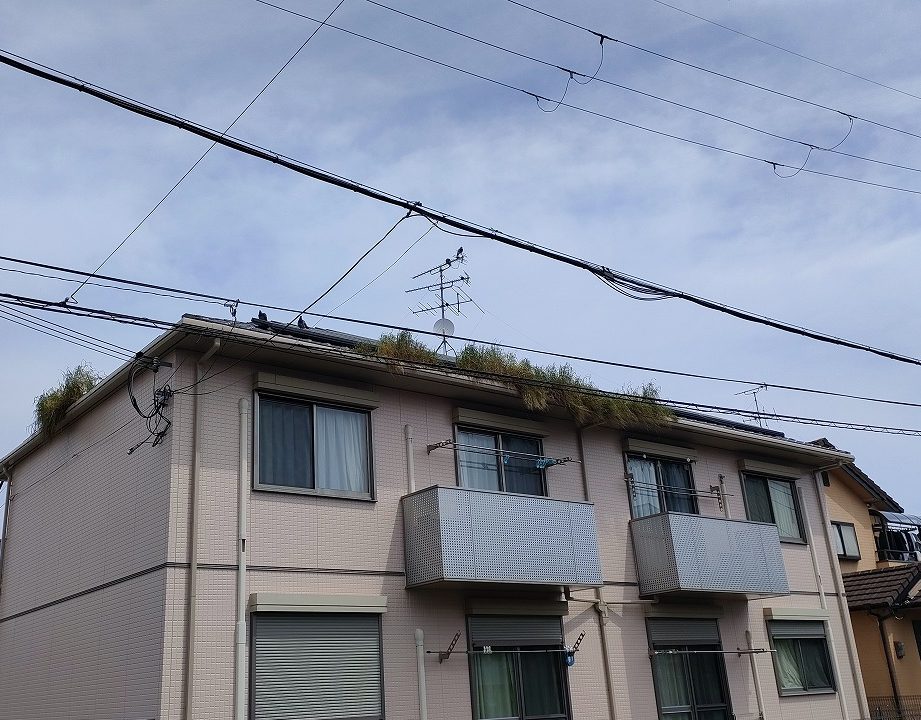 斑鳩町ハイツ現調