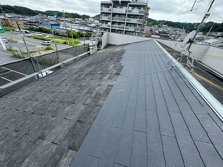 半分以上のカラーベストを新しくしました。