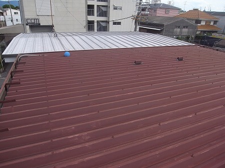 折板屋根の全体状況