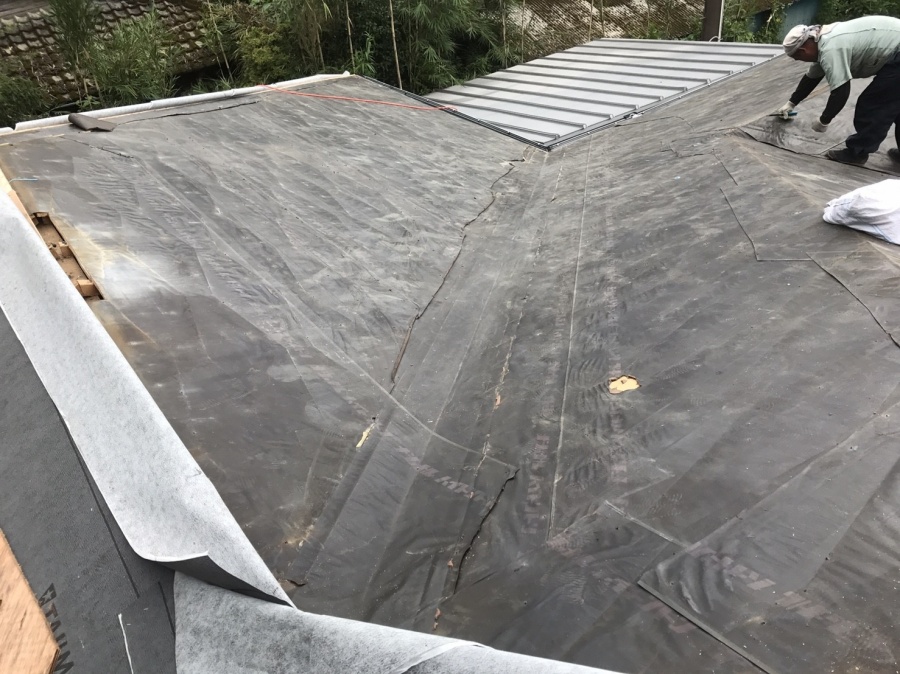 カラーベスト撤去