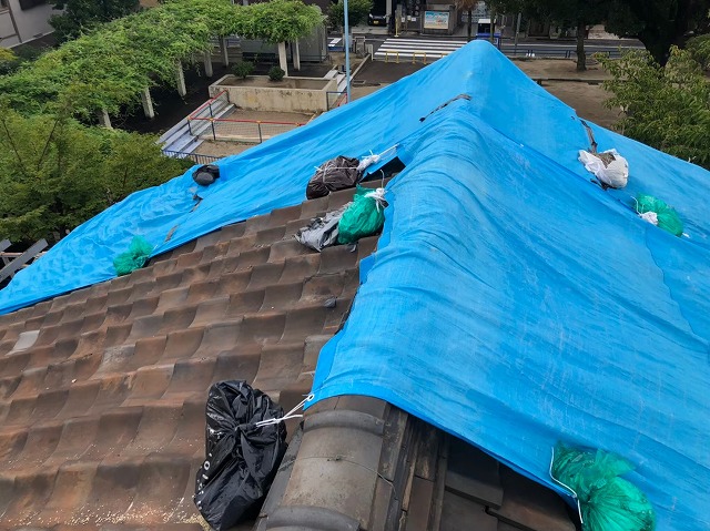 奈良市の粘土屋根の長屋を雨養生した様子